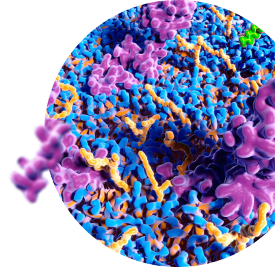 Scientific graphic of cannabinoid molecule