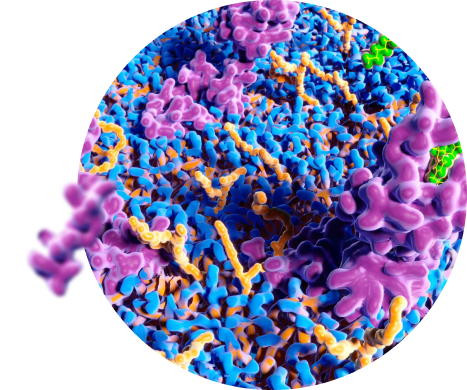 Scientific graphic of cannabinoid molecule